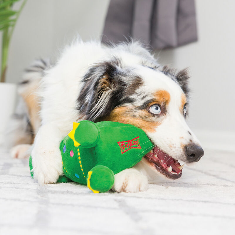 Huxley & Kent, Tree Rex 2.0 - Large image number null