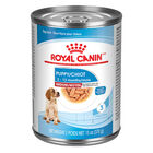Royal Canin, Size Health Nutrition Medium Puppy Chunks in Gravy 12/13oz - Wet Dog Food image number null