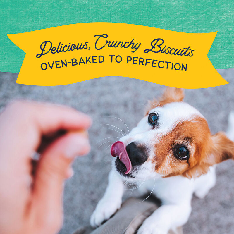 Natural Balance, Limited Ingredient Dog Treats Small Breed, Potato & Chicken - 227 g - Dog Biscuit image number null