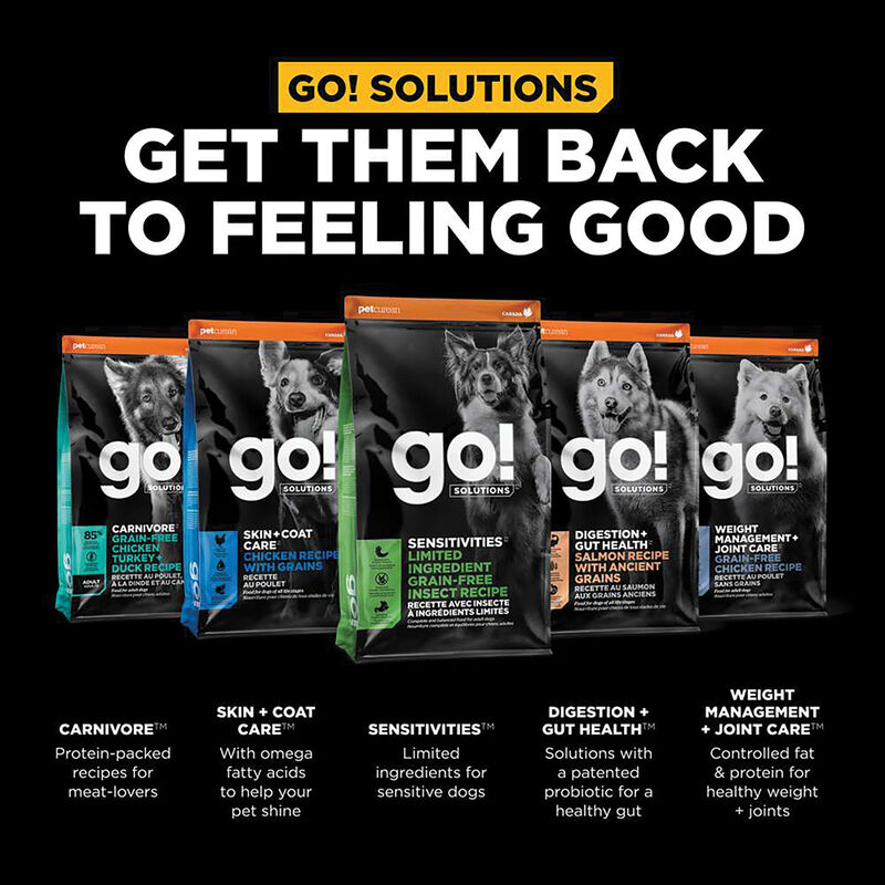 GO! SOLUTIONS, Adult - LI Sensitivites GF Insect Recipe - Dry Dog Food image number null