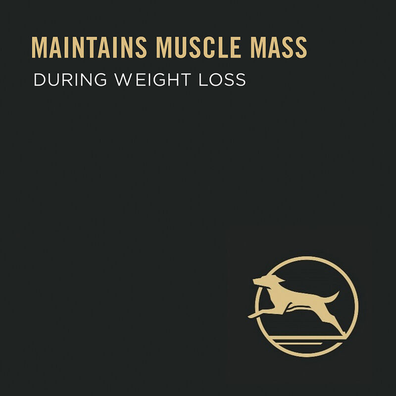 Pro Plan Dog, Can, Specialized Weight Management Turkey & Vegetable 368g image number null