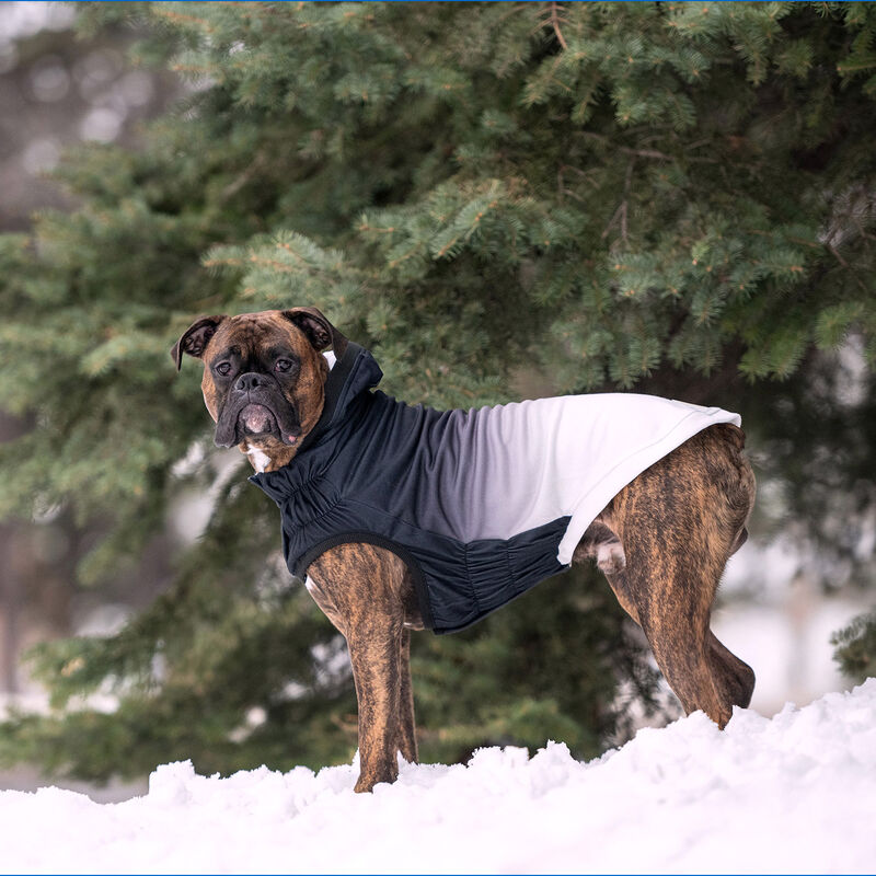 GF Pet, Good Vibes Hoodie - Charcoal image number null
