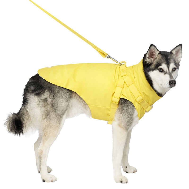 Canada Pooch, Harness Raincoat - Yellow image number null