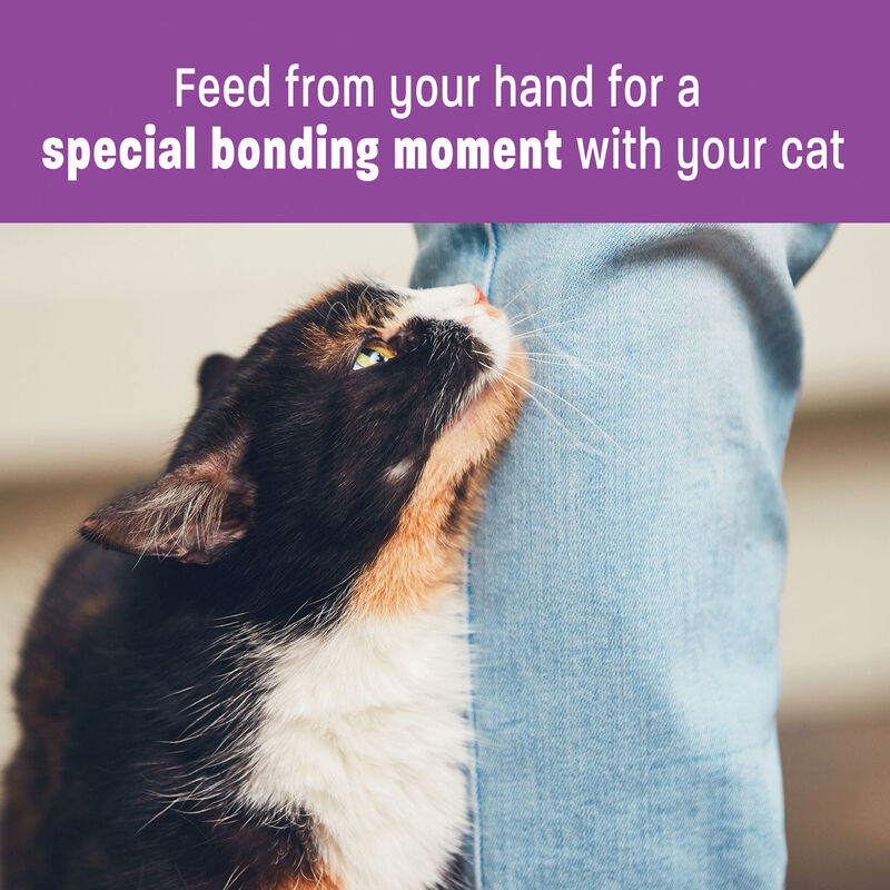 Wellness, Lickable Puree GF Treats - Duck - 72 g - Cat Treats image number null