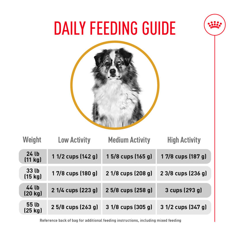 Royal Canin, Size Health Nutrition Medium Sensitive Skin Care - Dry Dog Food image number null