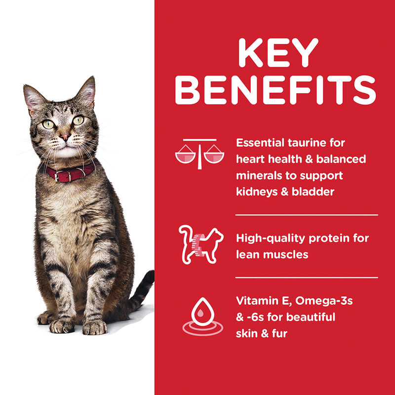 Science Diet, Adult Chicken Recipe Dry Cat Food - Dry Cat Food image number null