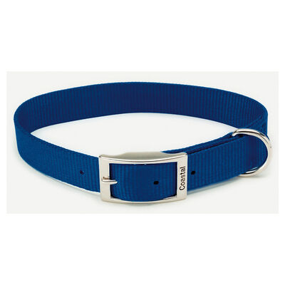Coastal, Dog Collar - Core Buckle - Blue - 1" x 20" - Dog Collar