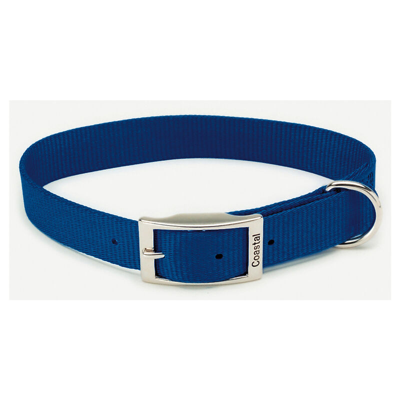 Coastal, Dog Collar - Core Buckle - Blue - 1" x 20" - Dog Collar image number null