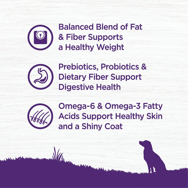 Wellness, Complete Health, Healthy Weight Deboned Chicken & Peas - Dry Dog Food image number null
