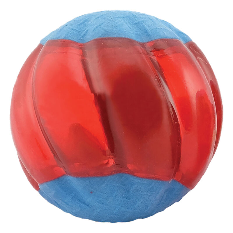 Zeus, Duo Ball - Squeaker - Large - 2pk image number null