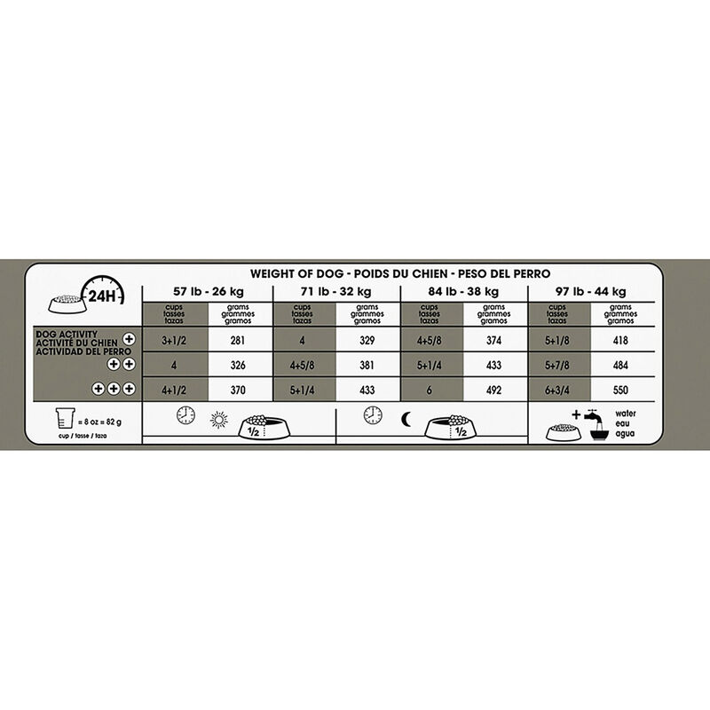 Royal Canin, Canine Care Nutrition Dental Large Dog Food - Dry Dog Food image number null