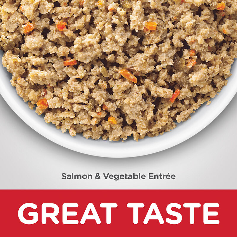 Adult Sensitive Skin&Stomach Salmon&Veg - 363 g image number null