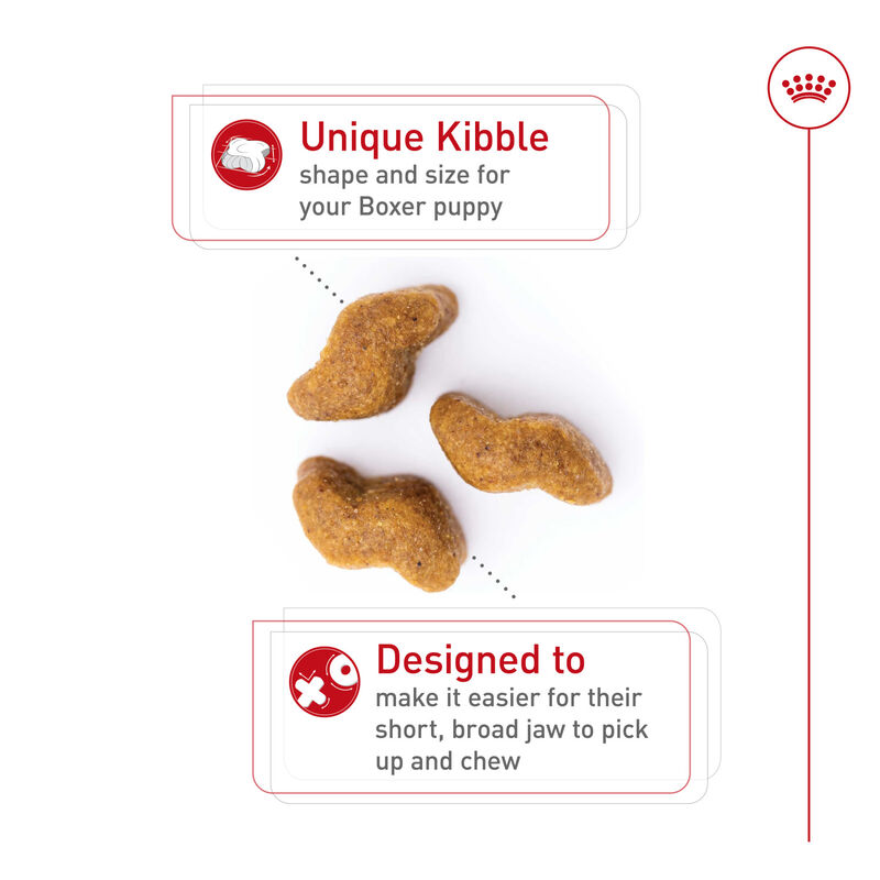 Royal Canin, Breed Health Nutrition Boxer Puppy - Dry Dog Food image number null