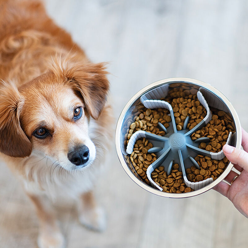 Messy Mutts, Slow Feeder Universal Bowl Insert with Suction image number null