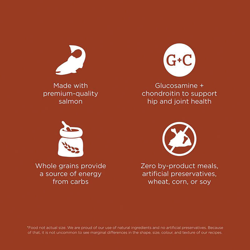GO! SOLUTIONS, Adult LB - Skin & Coat w/ Grains - Salmon - Dry Dog Food image number null