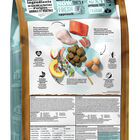 NOW FRESH, Puppy GF Large Breed - 11.3 kg - Dry Dog Food image number null