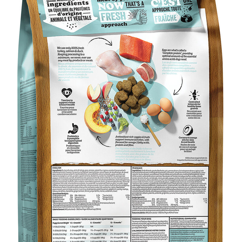 NOW FRESH, Puppy GF Large Breed - 11.3 kg - Dry Dog Food image number null