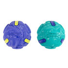 Outward Hound FlyFetch Rubber Fetch Ballz - 2 pk image number null