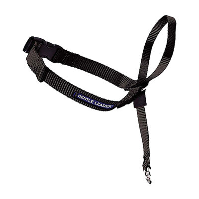 Leader - Black - Small