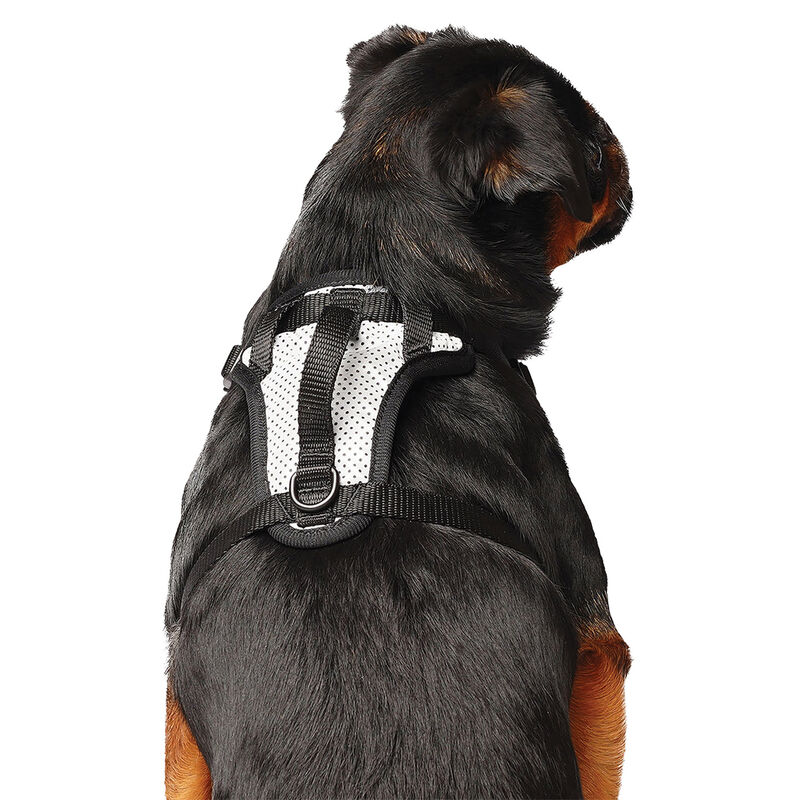 Canada Pooch, Everything Harness - Reflective Mesh - Dog Harness image number null