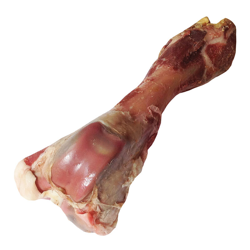 Dogit, Charcuterie, Italian Prosciutto Bone image number null