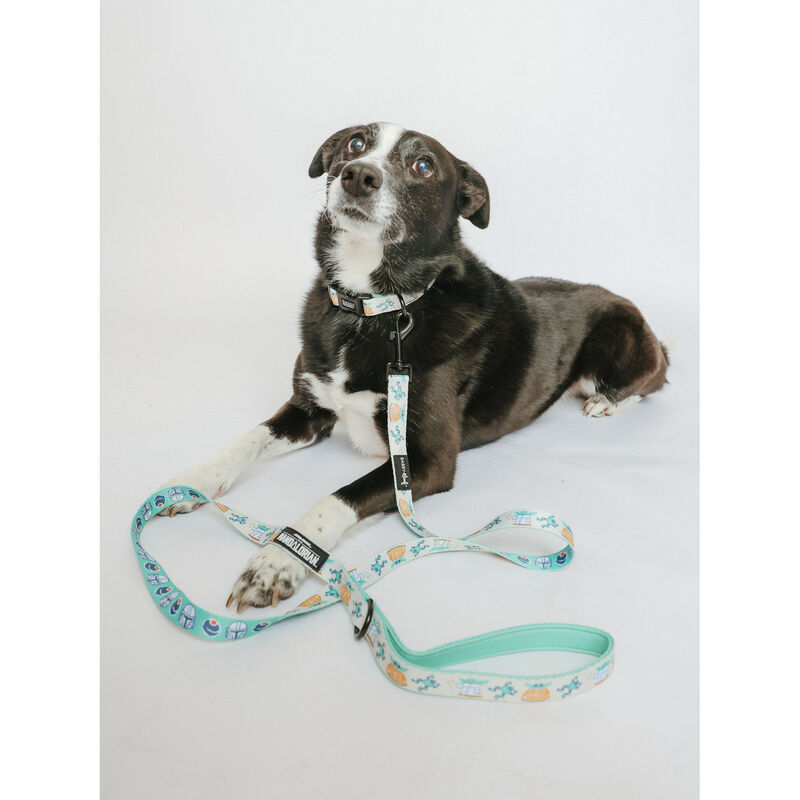 Sassy Woof, Star Wars Collar and Leash Set for Dogs - Small image number null