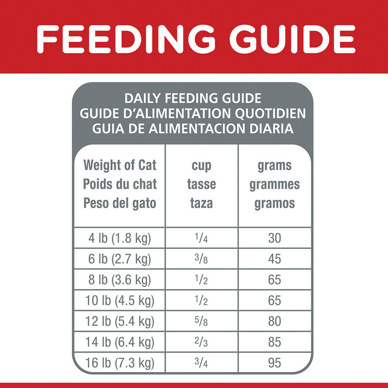 Science Diet, Adult Chicken Recipe Dry Cat Food - Dry Cat Food image number null