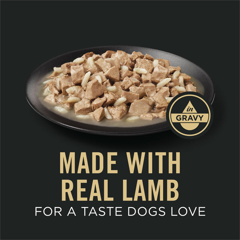 Pro Plan, Sensitive Skin & Stomach - Lamb & Oat in Gravy - Wet Dog Food image number null