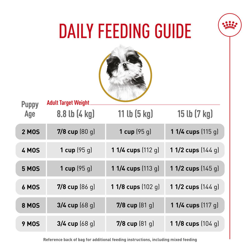 Royal Canin, Breed Health Nutrition Shih Tzu Puppy - Dry Dog Food image number null