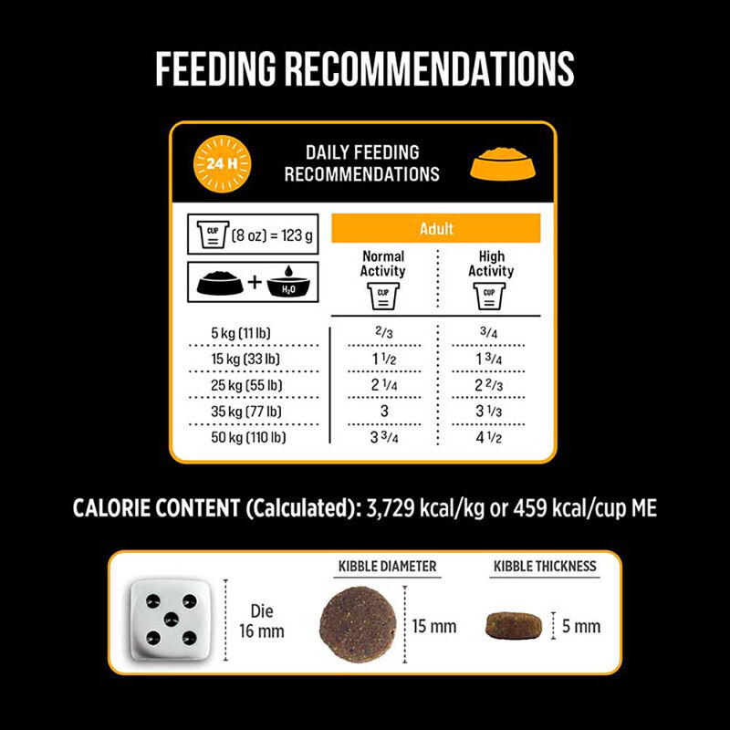 Nutrience, Adult - SubZero Grain Free - Fraser Valley - Dry Dog Food image number null