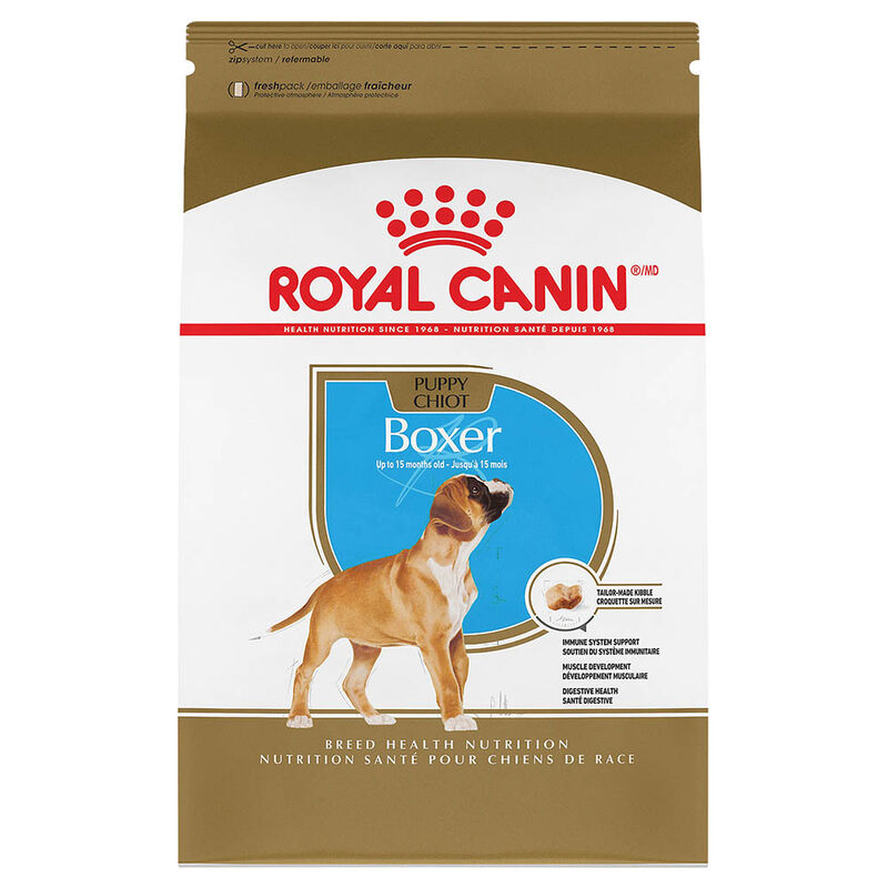 Royal Canin, Breed Health Nutrition Boxer Puppy - Dry Dog Food image number null