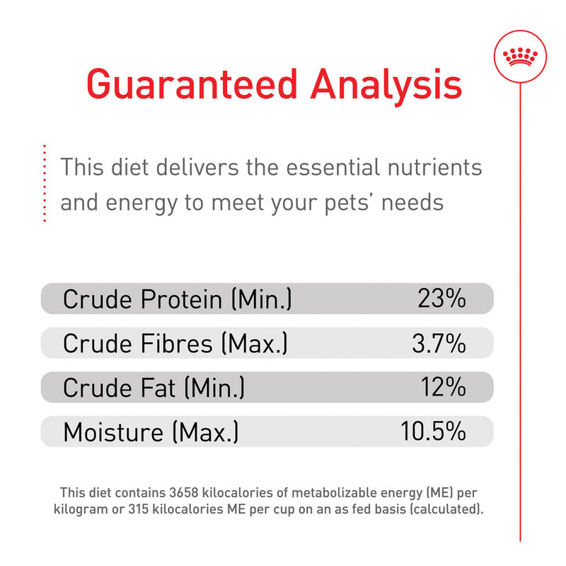 Royal Canin, Size Health Nutrition Medium Adult 7+ - Dry Dog Food image number null