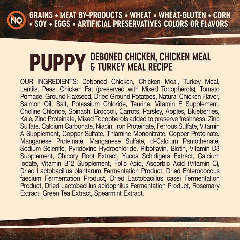 Wellness, Core, Grain Free Puppy - Dry Dog Food image number null