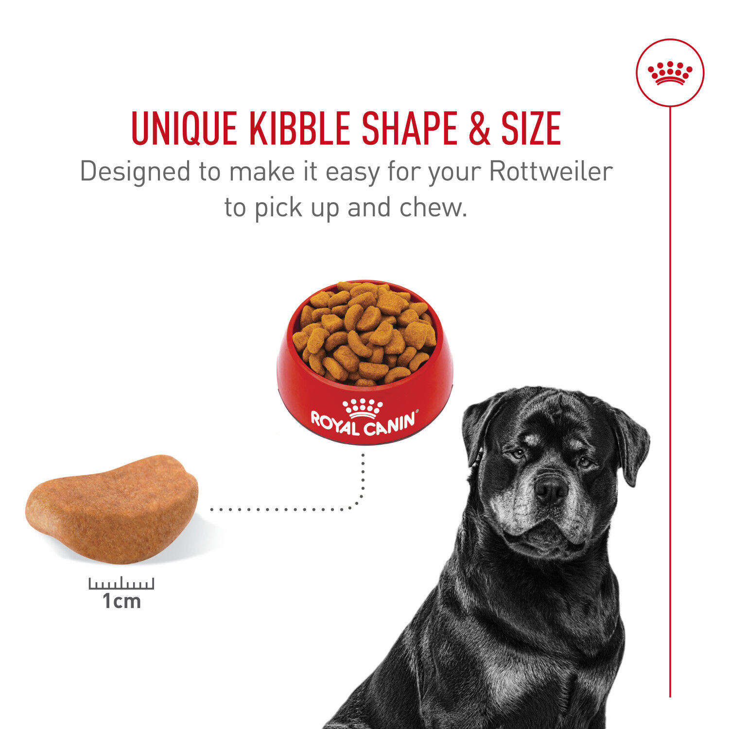 Royal Canin, Breed Health Nutrition Rottweiler Adult - Dry Dog