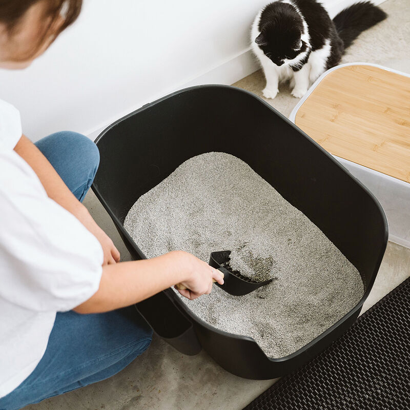 BeOneBreed, Luxury Litter Box - Large - Black image number null