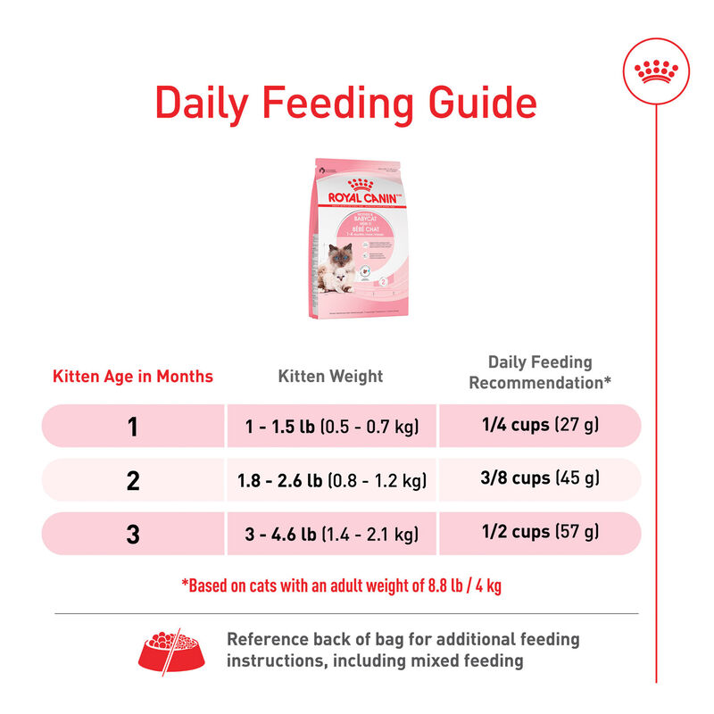 Royal Canin, Feline Health Nutrition - Mother & Babycat - Dry Cat Food image number null