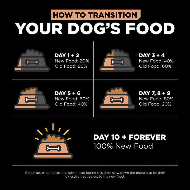 GO! SOLUTIONS, Adult - Digestion & Gut Health - Salmon w/ Ancient Grains - Dry Dog Food image number null