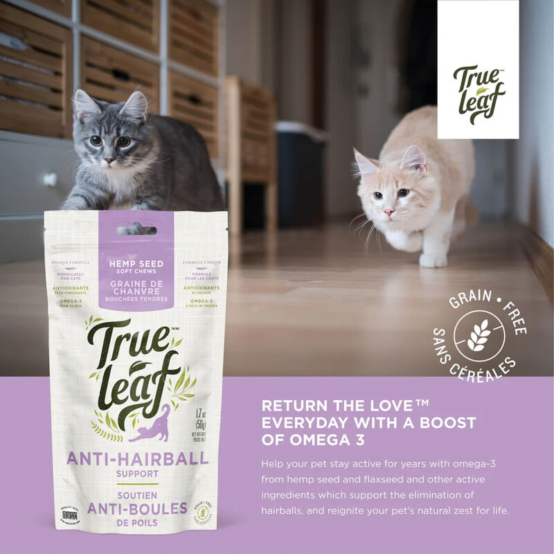 True Leaf, Anti-Hairball Support Chews for Cats image number null