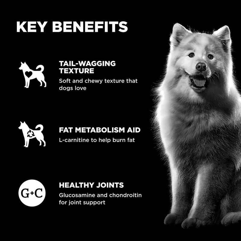Go! Solutions,Benefit Chews - Weight Management + Joint Care Chicken Dog Treats - 170 g image number null