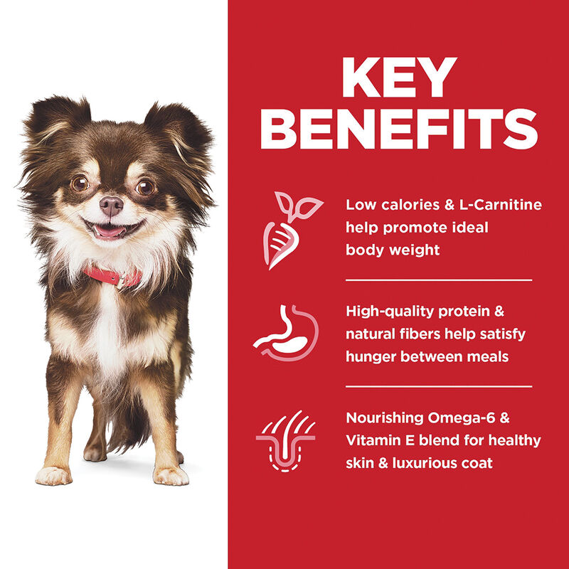 Science Diet, Adult Sensitive Stomach & Skin Small & Mini Chicken Recipe Dry Dog Food - Dry Dog Food image number null