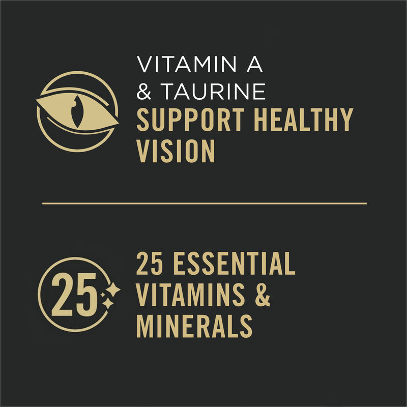 Pro Plan Wet Cat Complete Essentials Salmon & Rice Entr&eacute;e 85g image number null