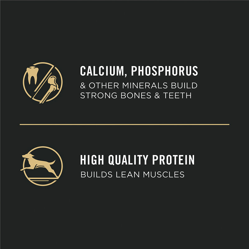 Purina Pro Plan Development Under One Year Puppy, Shredded Blend, Chicken & Rice Dry Dog Food Formul image number null