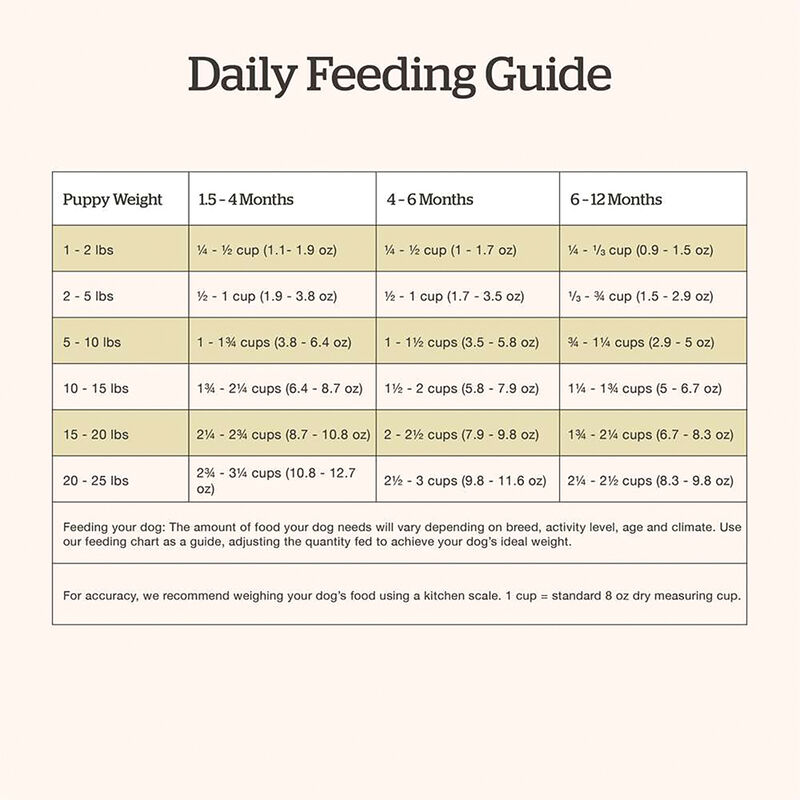 NOW FRESH, Puppy GF Small Breed - Dry Dog Food image number null