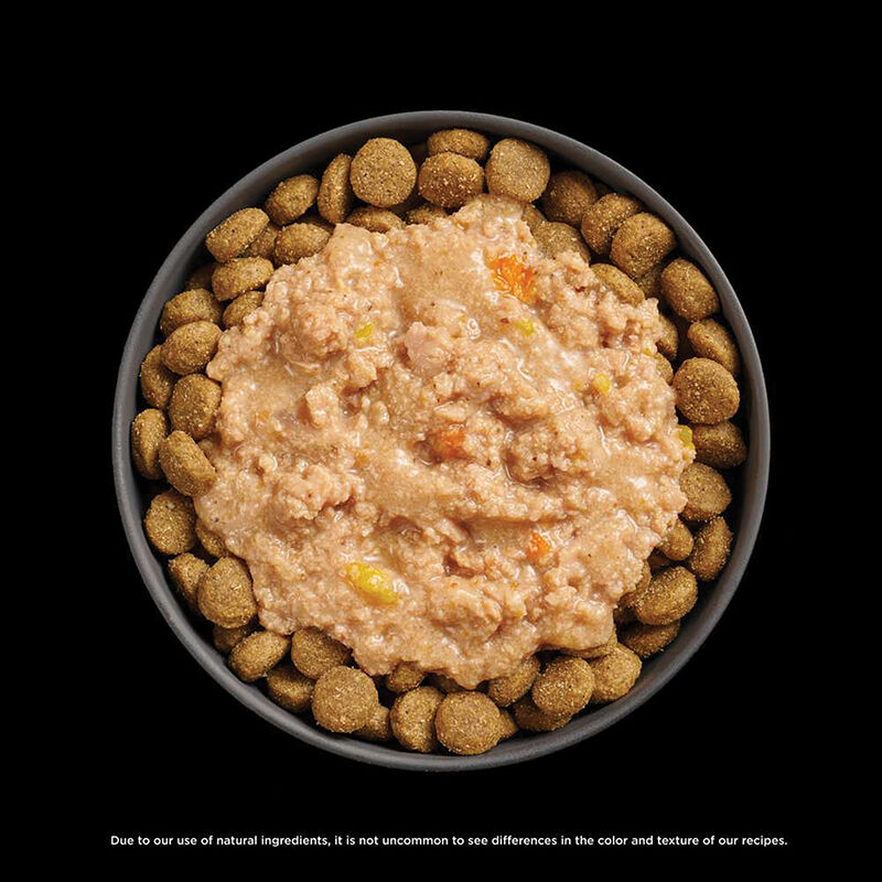 GO! SOLUTIONS,  BOOSTER Tranquility Chicken, Salmon + Duck Stew - 78 g - Wet Dog Food image number null