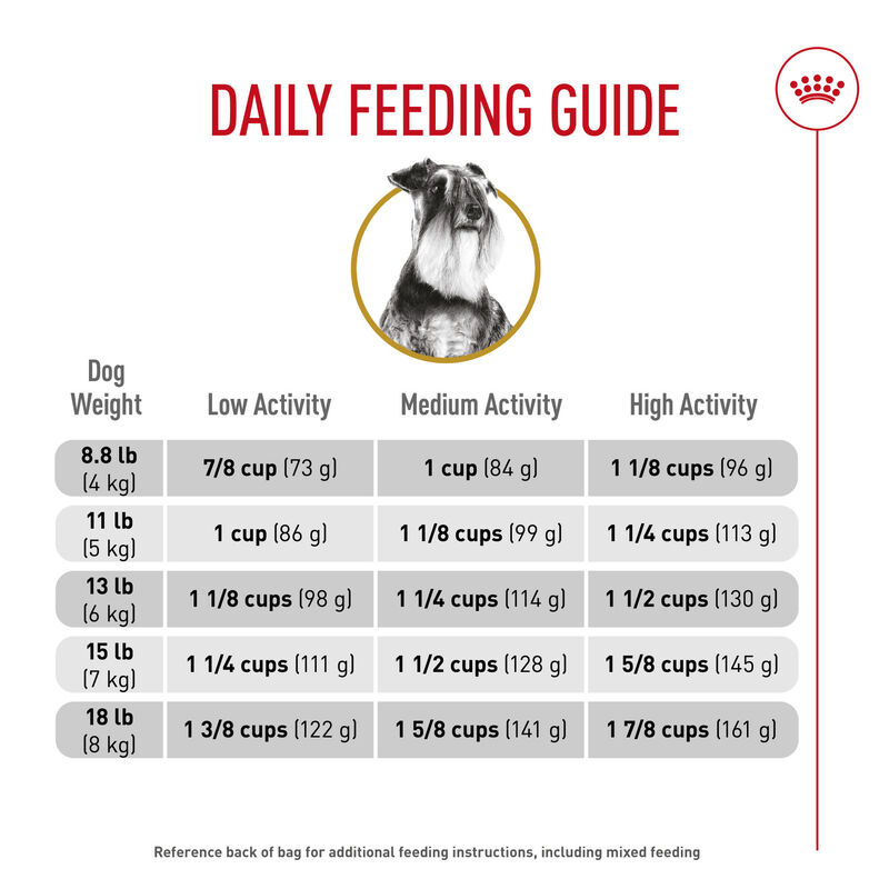 Royal Canin, Breed Health Nutrition Miniature Schnauzer Adult - Dry Dog Food image number null