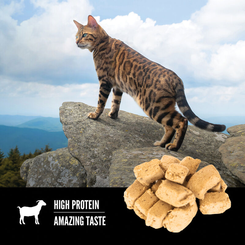 Orijen, Feline Freeze-Dried Treat - Tundra - 35 g - Freeze Dried Cat Treat image number null