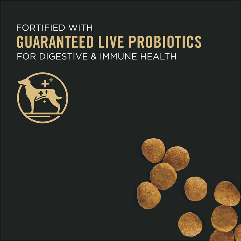 Purina Pro Plan Development Under One Year Puppy, Shredded Blend, Chicken & Rice Dry Dog Food Formul image number null