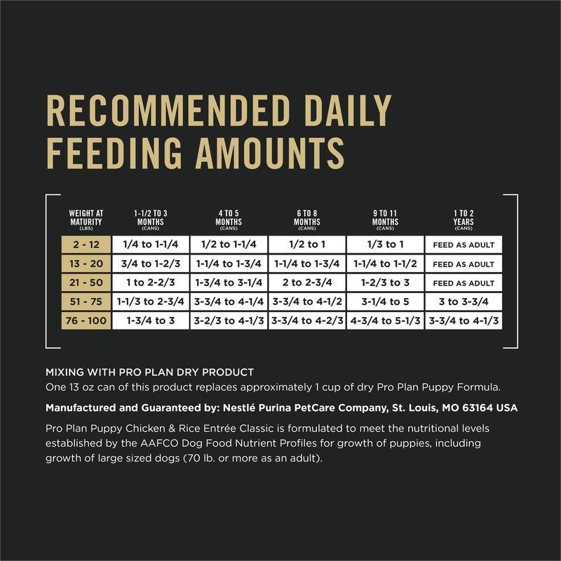 Pro Plan, Can, Puppy - Development-Chicken & Rice Pate-368 g - Wet Dog Food image number null