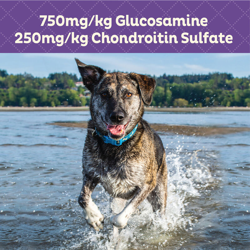 Old Mother Hubbard, Crunchy Functional Hip & Joint - 20 oz image number null