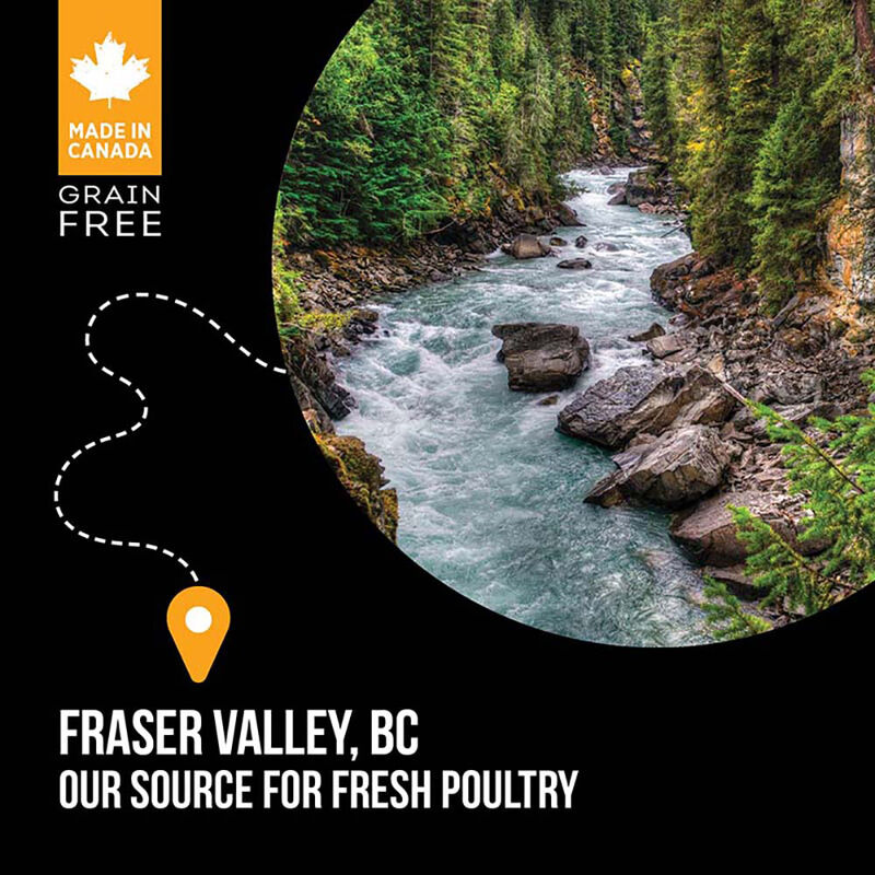 Nutrience, Adult Large Breed - SubZero Grain Free - Fraser Valley - Dry Dog Food image number null